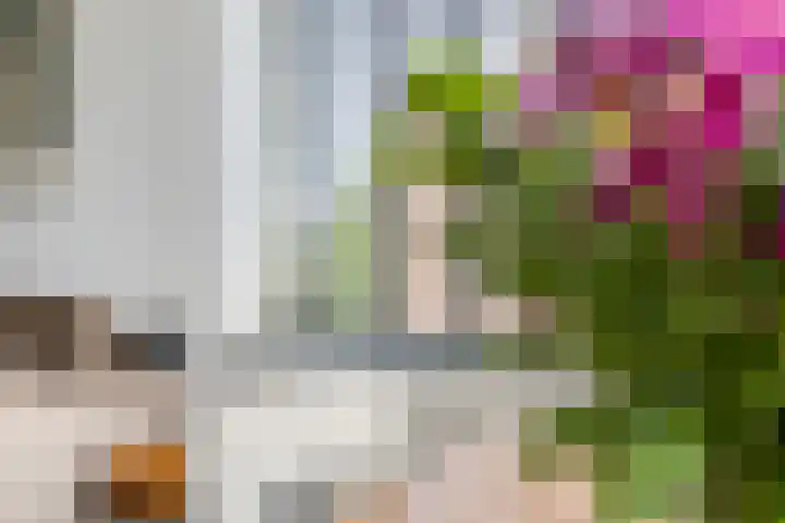 Amstellaan 21 Purmerend thumbnail 9