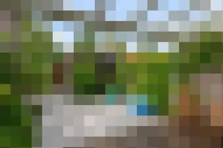 Amstelpark 3 Assendelft thumbnail 11