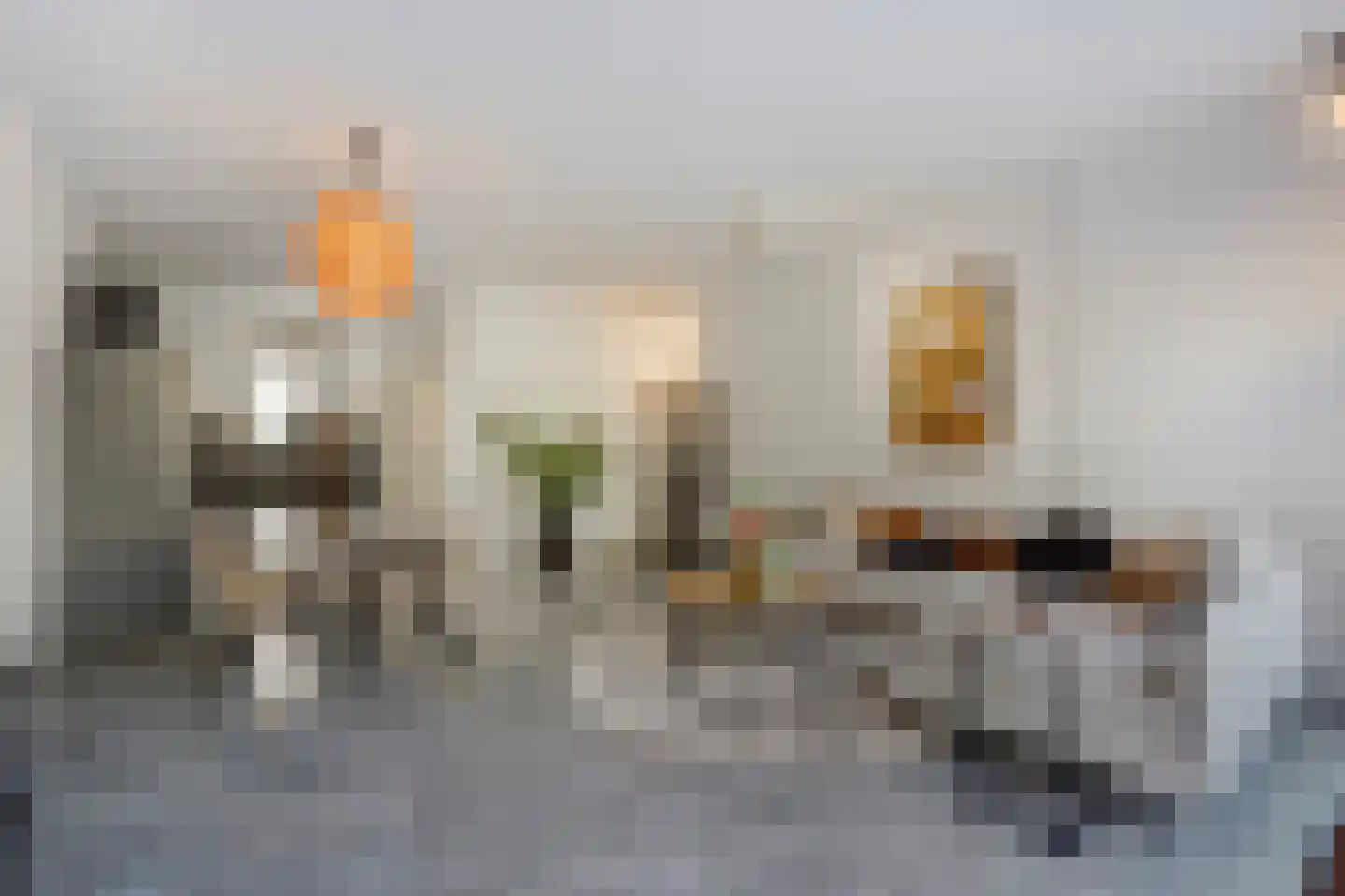 Amstelstraat 32 Den Haag thumbnail 9