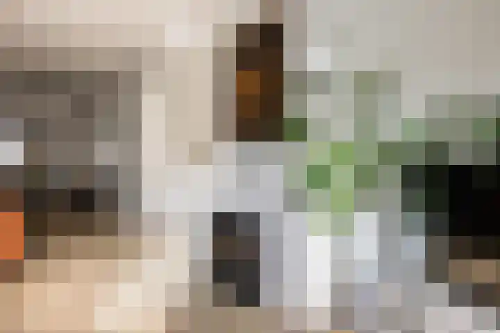 Amsterdamseweg 200 Arnhem thumbnail 10