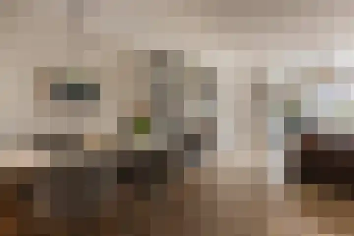 Amsterdamseweg 200 Arnhem thumbnail 11