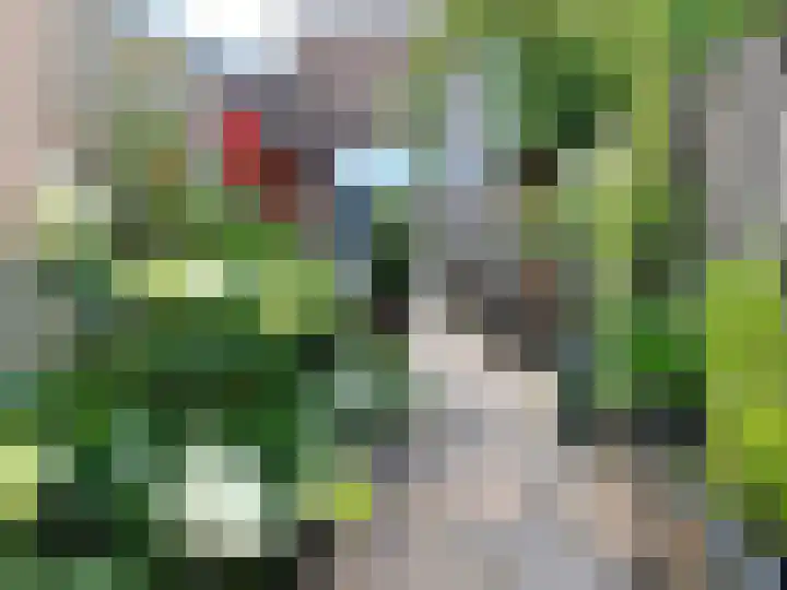 Amsterdamseweg 200 Arnhem thumbnail 26