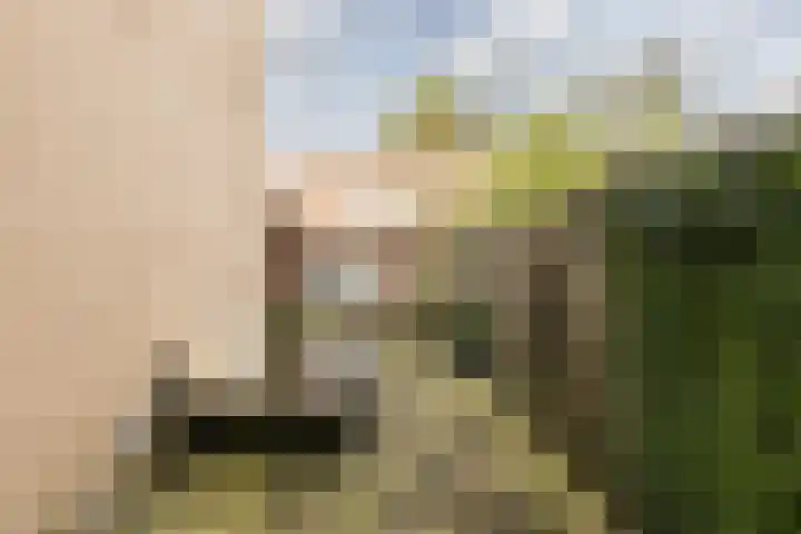 Amsterdamseweg 200 Arnhem thumbnail 27