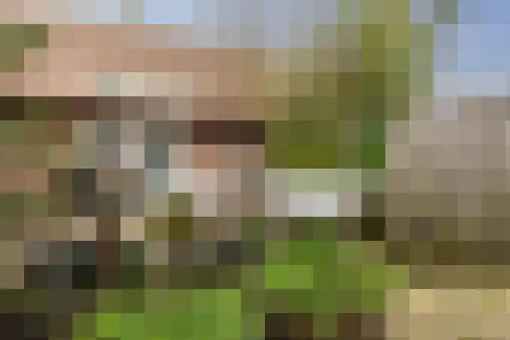 Amsterdamseweg 200 Arnhem thumbnail 29