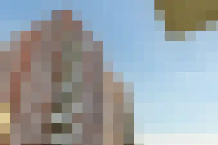 Ananasweg 114 Leiden thumbnail 36