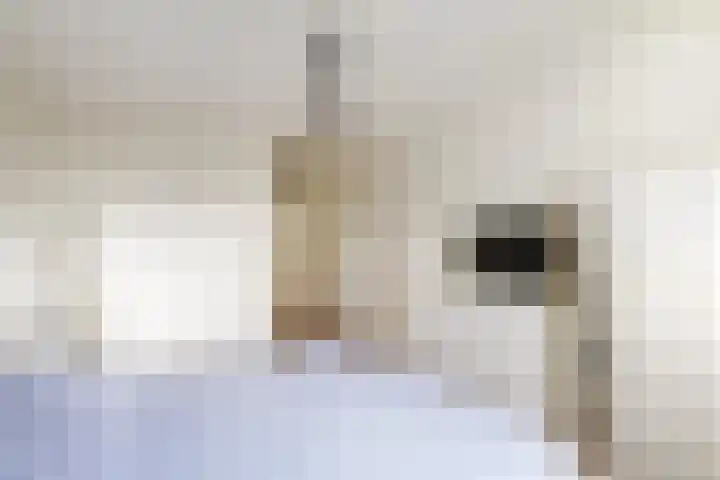 Ananasweg 114 Leiden thumbnail 39