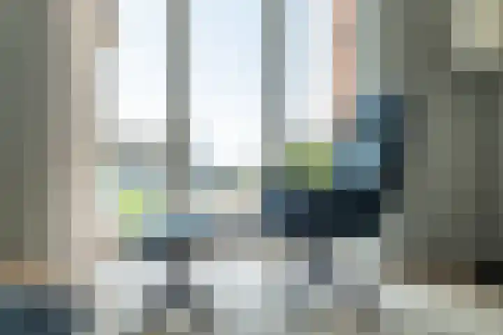 Ananasweg 46 Leiden thumbnail 15