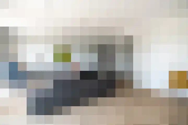 Ananasweg 46 Leiden thumbnail 33