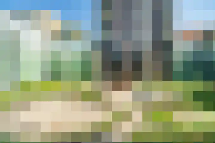 Ananasweg 46 Leiden thumbnail 38