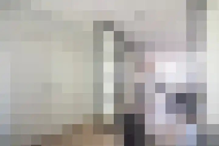Ananasweg 46 Leiden thumbnail 7