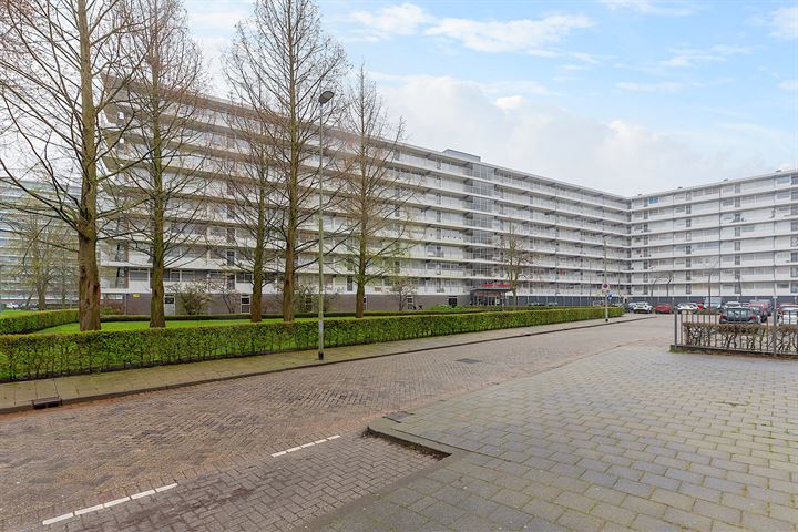 Anatole Franceplaats 404 in Rotterdam foto