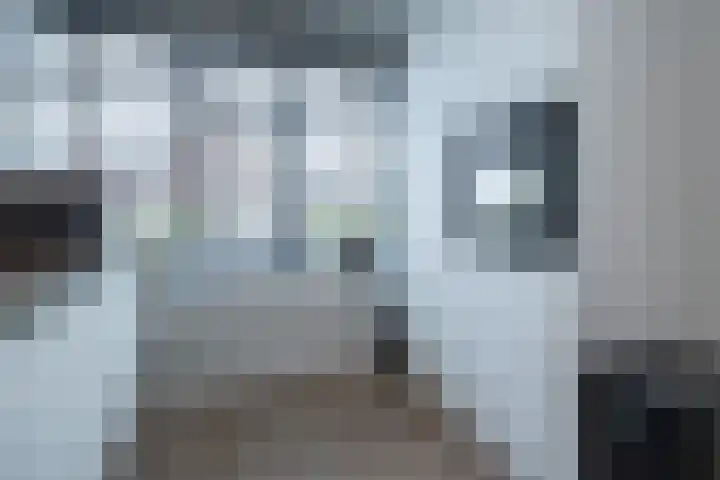 Anconalaan 8 Barneveld thumbnail 12