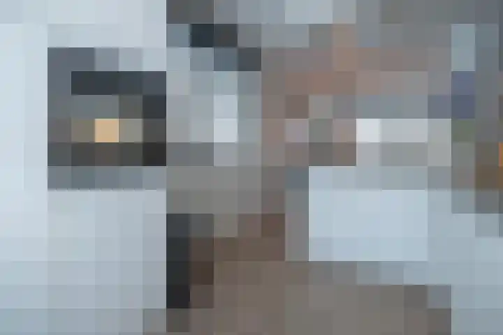 Anconalaan 8 Barneveld thumbnail 13