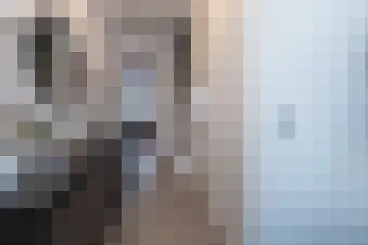 Anconalaan 8 Barneveld thumbnail 14