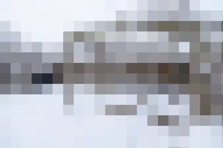 Anconalaan 8 Barneveld thumbnail 41