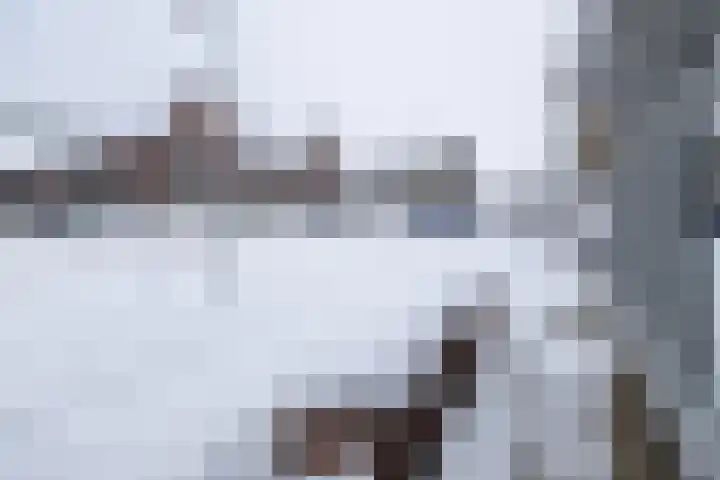 Anconalaan 8 Barneveld thumbnail 44