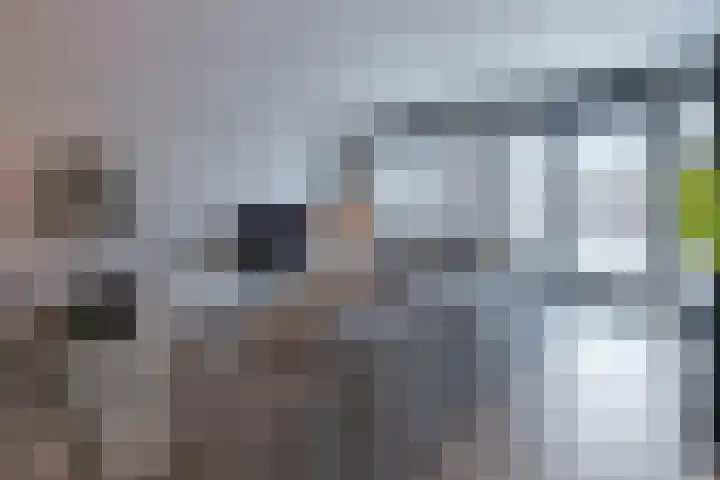 Anconalaan 8 Barneveld thumbnail 5