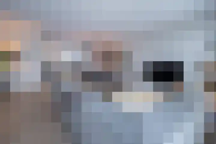 Anconalaan 8 Barneveld thumbnail 6