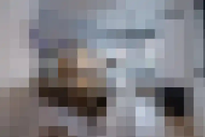 Anconalaan 8 Barneveld thumbnail 9