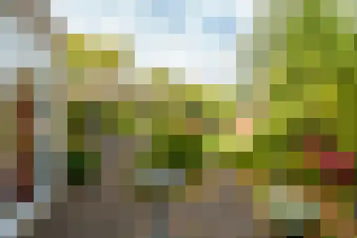 Andantestraat 70 Almere thumbnail 43