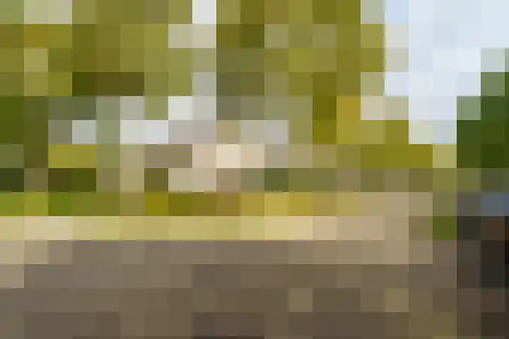 Andantestraat 70 Almere thumbnail 58