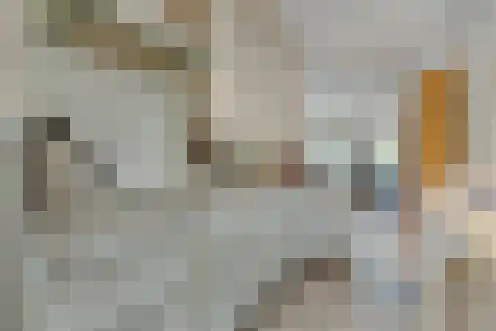 Andoorn 35 Oldenzaal thumbnail 11