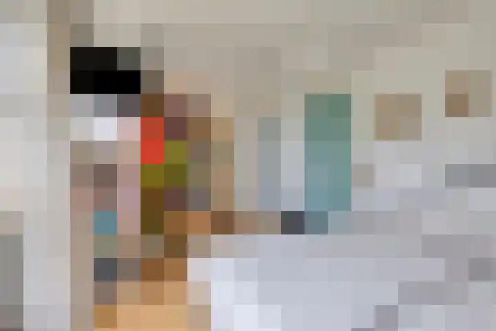 Andoorn 35 Oldenzaal thumbnail 15