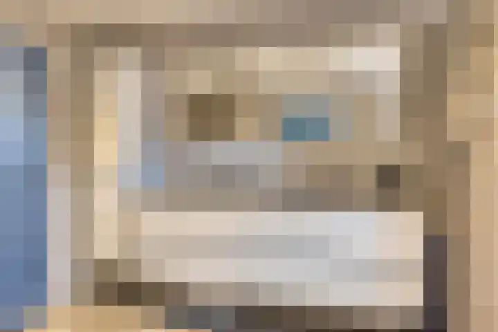 Andoorn 35 Oldenzaal thumbnail 19
