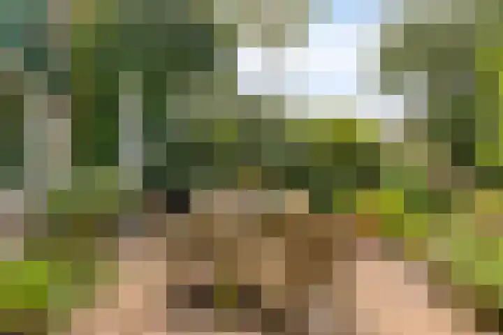 Andoorn 35 Oldenzaal thumbnail 24