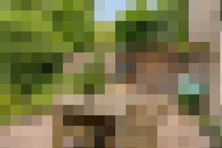 Andoorn 35 Oldenzaal thumbnail 25