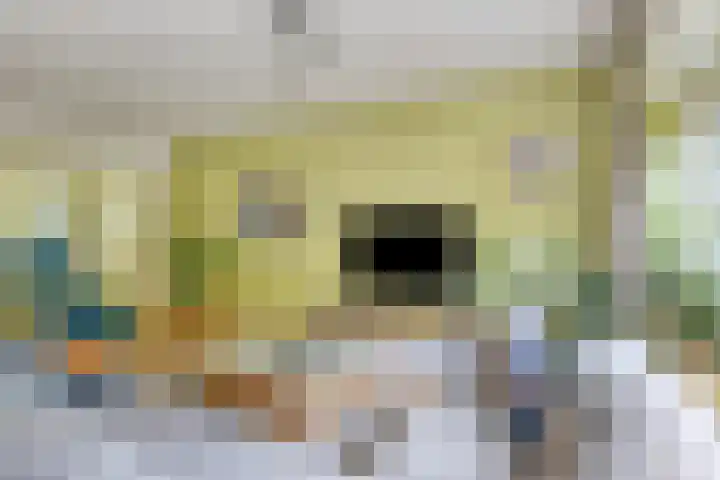 Andoorn 35 Oldenzaal thumbnail 7