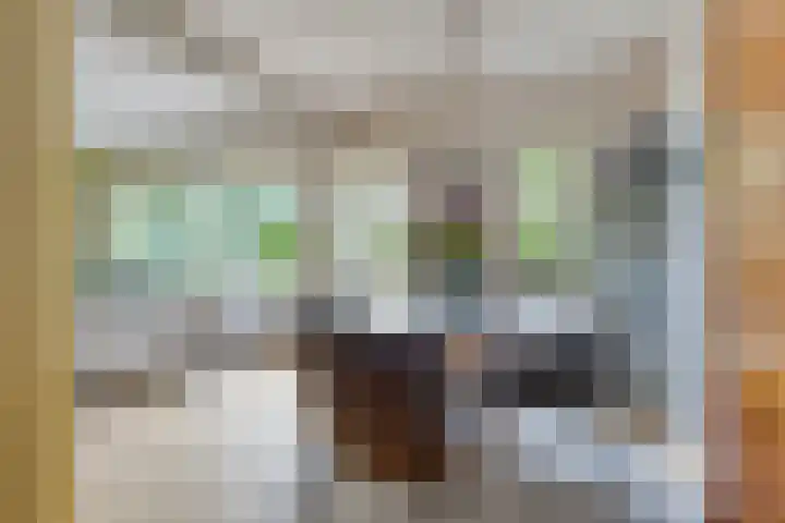 Andoorn 35 Oldenzaal thumbnail 8