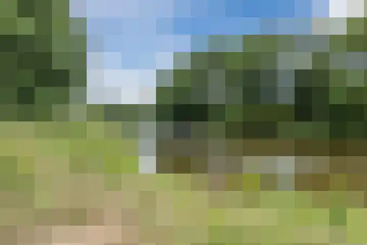 Andoornweg 56 Grave thumbnail 34
