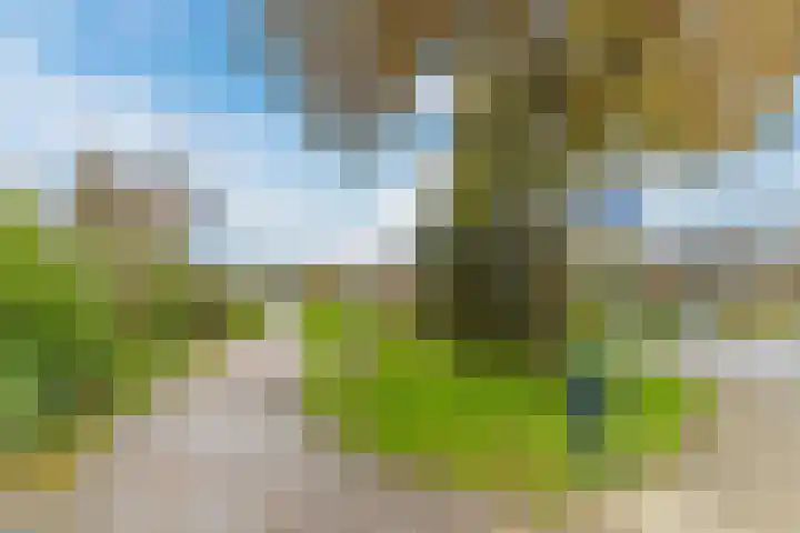 Andoornweg 69 Grave thumbnail 22