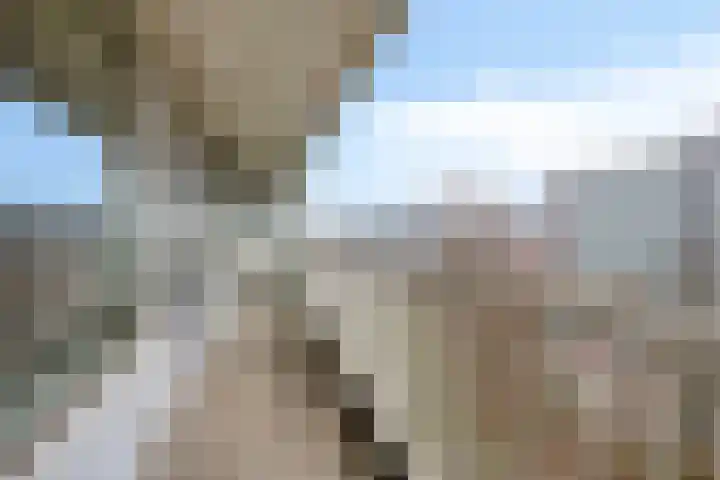 André Gideplaats 421 Rotterdam thumbnail 29