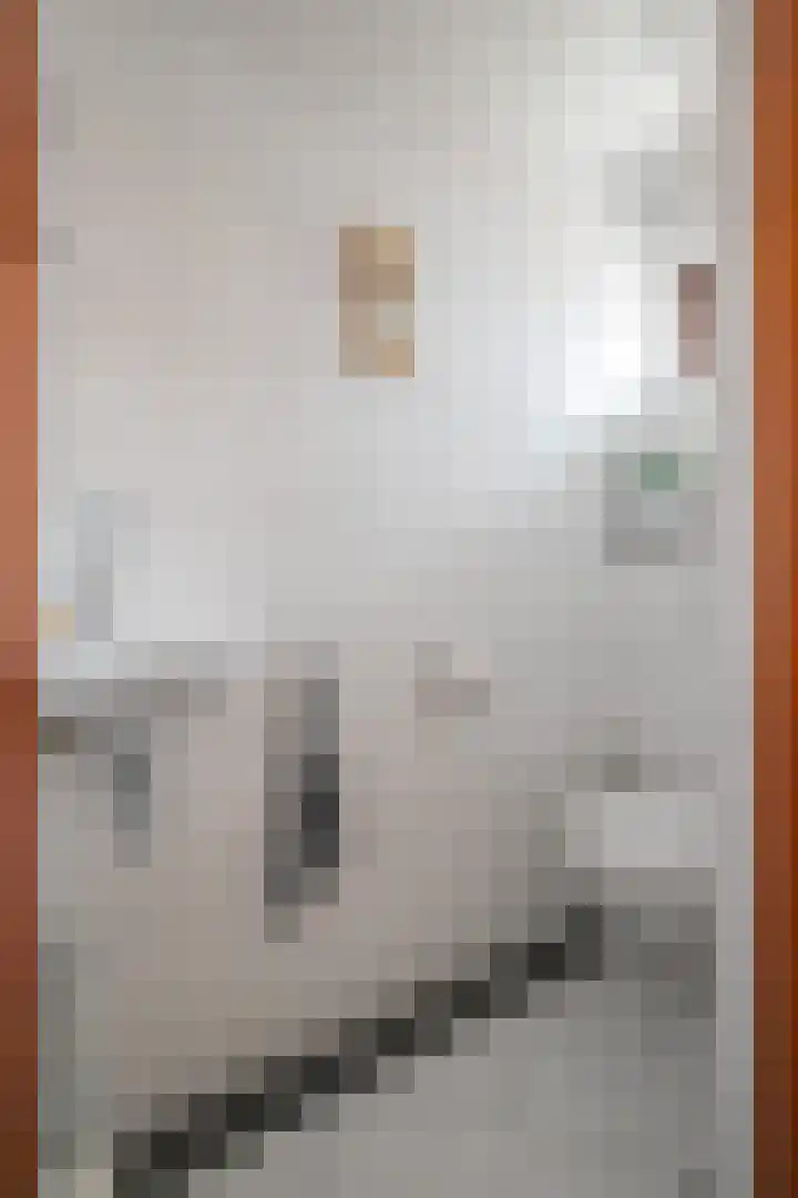 Andreas Sauerlaan 3 Geulle thumbnail 14