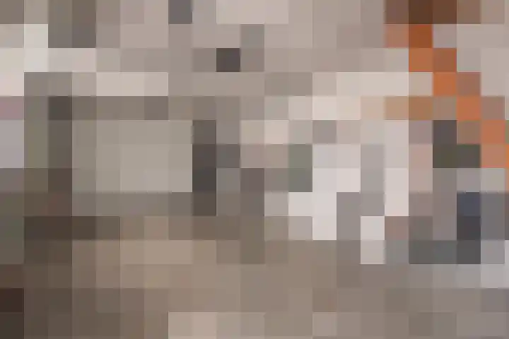 Andreas Sauerlaan 3 Geulle thumbnail 24
