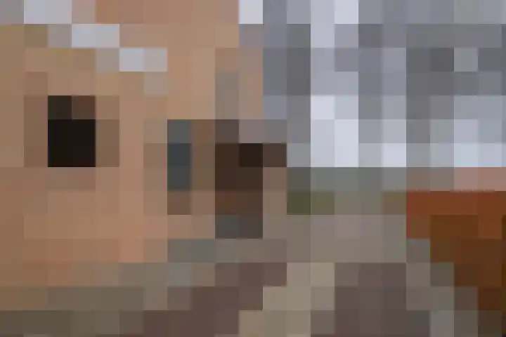 Andreas Sauerlaan 3 Geulle thumbnail 25