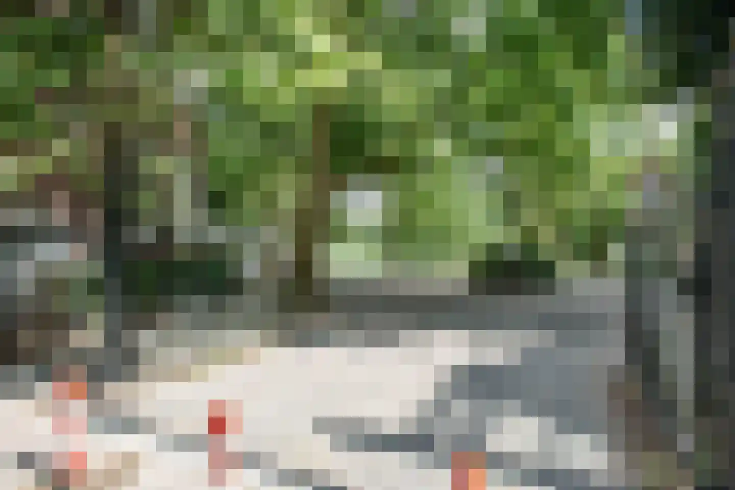 Andreas Schelfhoutstraat 39 3 Amsterdam thumbnail 26