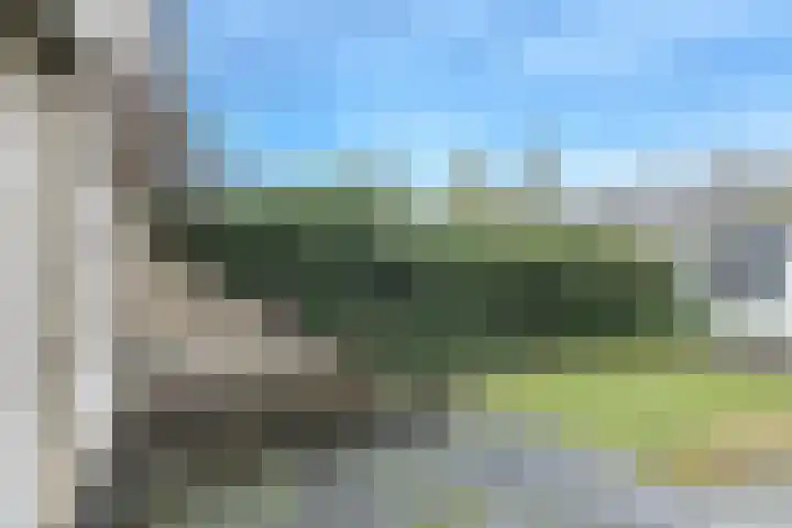Andreasstraat 21 Breda thumbnail 36
