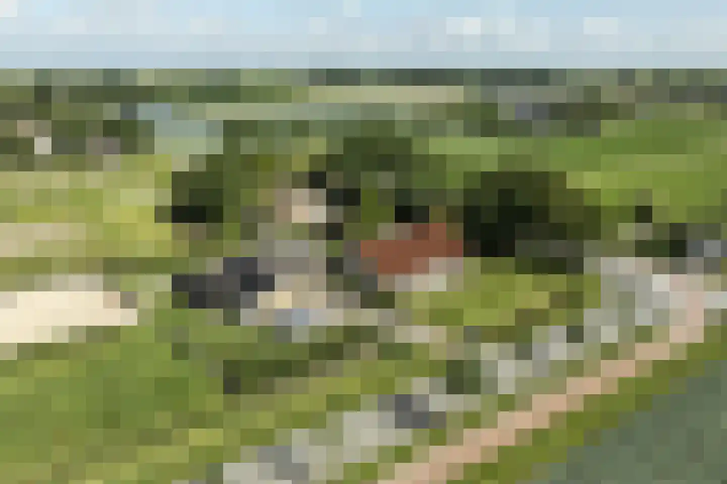 Andries Dekkerweg 2 in Waarland