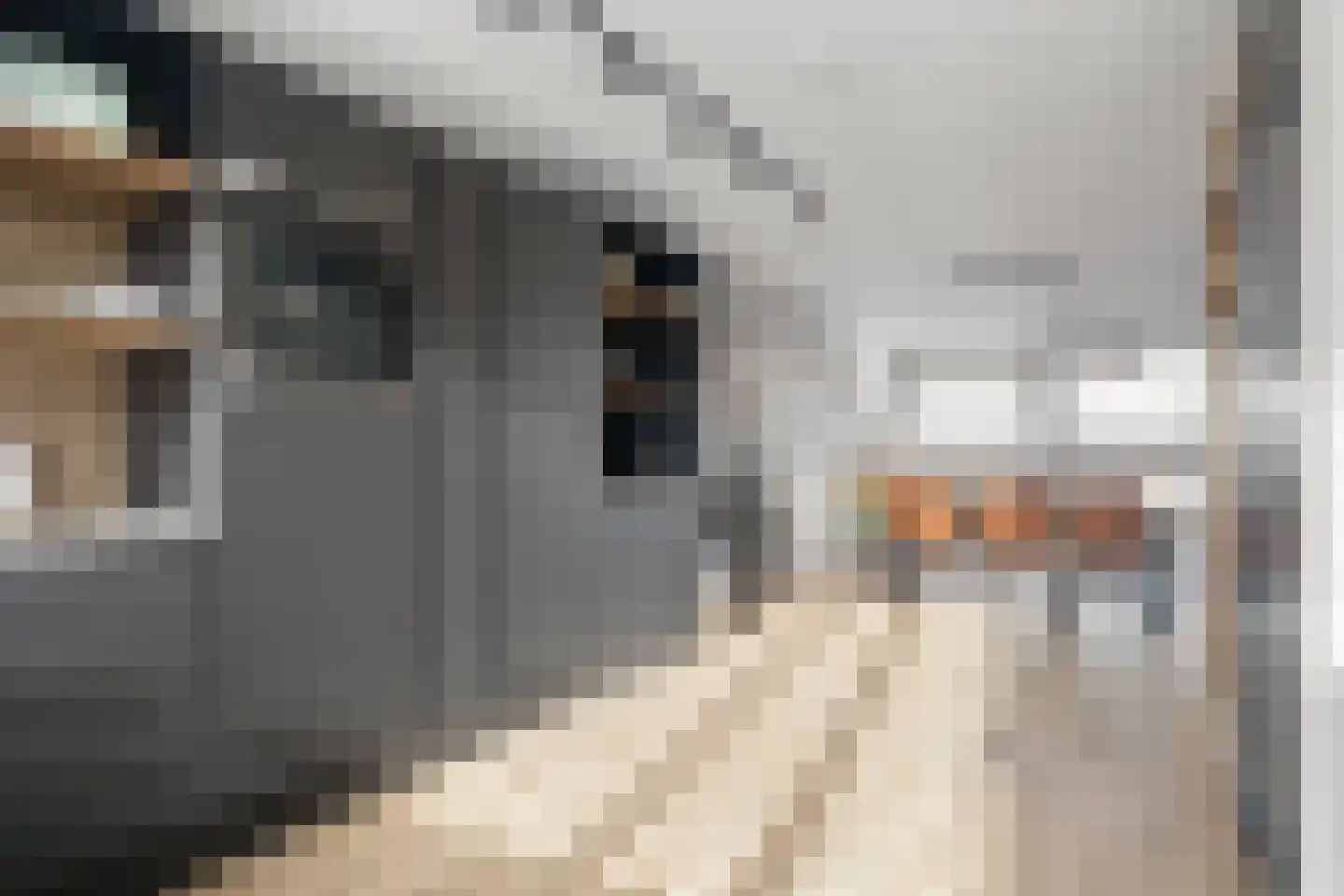 Andromeda 4 Den Helder thumbnail 14