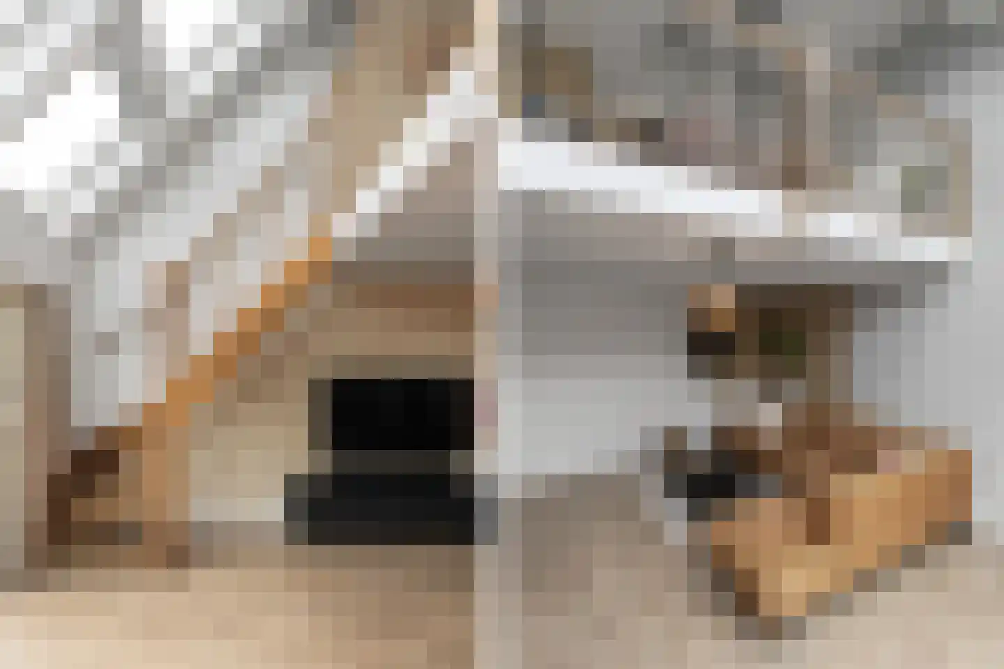 Andromeda 4 Den Helder thumbnail 9