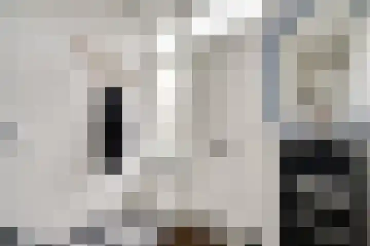Anemonenstraat 9 Maarheeze thumbnail 8