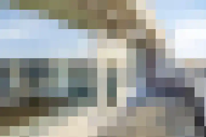 Anemoonstraat 189 Assen thumbnail 16