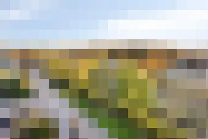 Anemoonstraat 189 Assen thumbnail 17