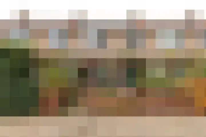 Anemoonstraat 19 Baarn