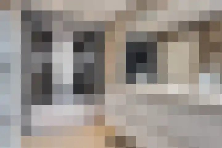 Anemoonstraat 5 Barneveld thumbnail 27