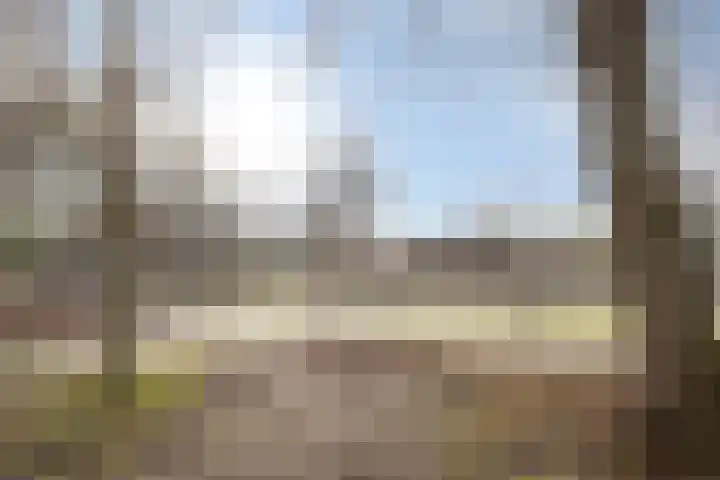 Anemoonstraat 5 Barneveld thumbnail 42