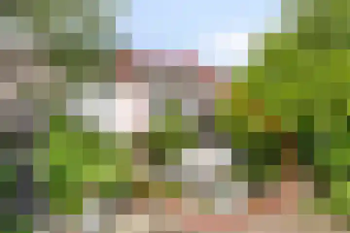 Anemoonzoom 6 in Leiderdorp